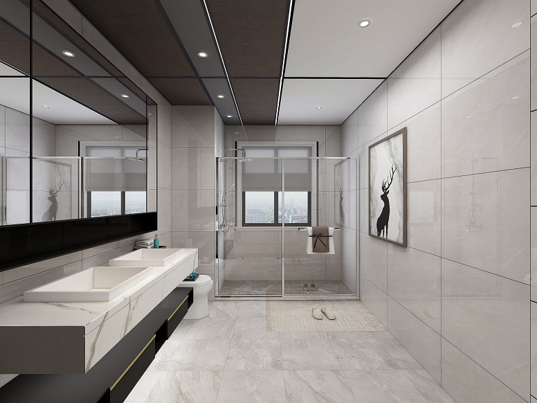 衛生(shēng)間(jiān)大(dà)闆頂-1